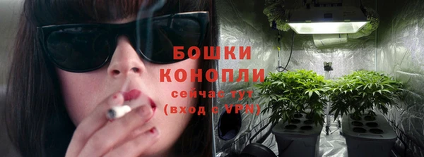 дживик Богданович