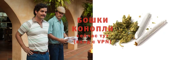 молекула духа Богородск
