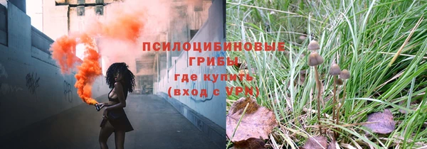 молекула духа Богородск